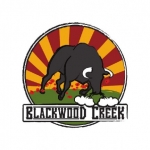 News image for Blackwood Creek - Frontiers Records Press Release
